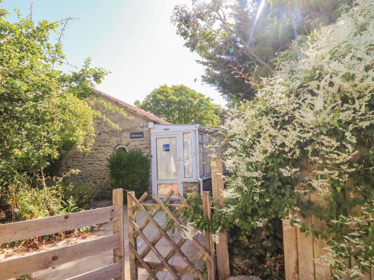 Mimosa Cottage Swyre Zewnętrze zdjęcie